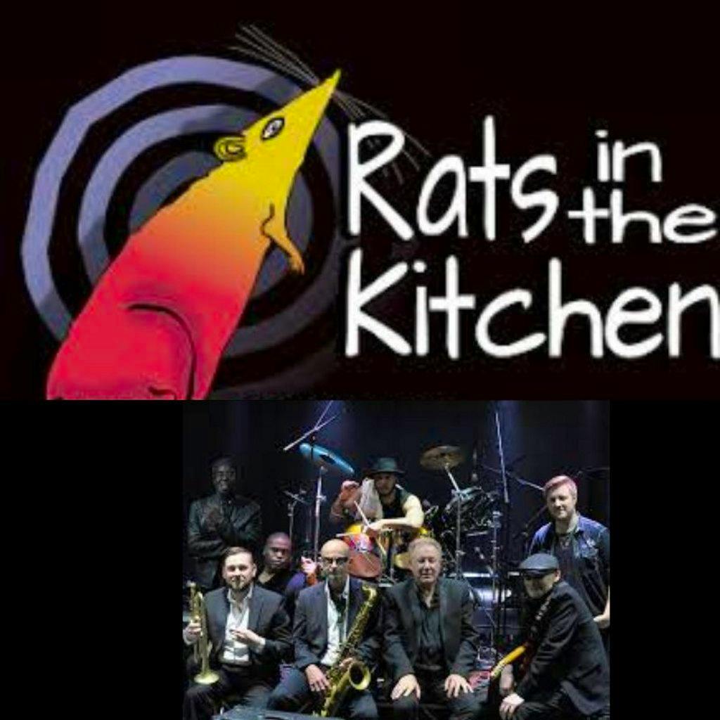 Rats In The Kitchen at Sutton United Football Club