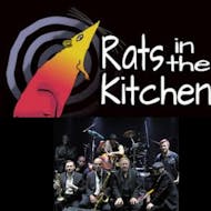 Rats In The Kitchen at Sutton United Football Club