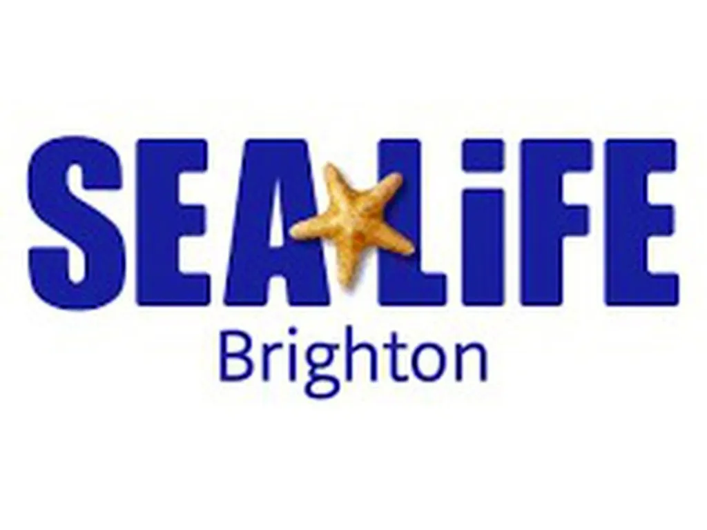 Sea Life Brighton Anytime Entry at Sea Life Centre