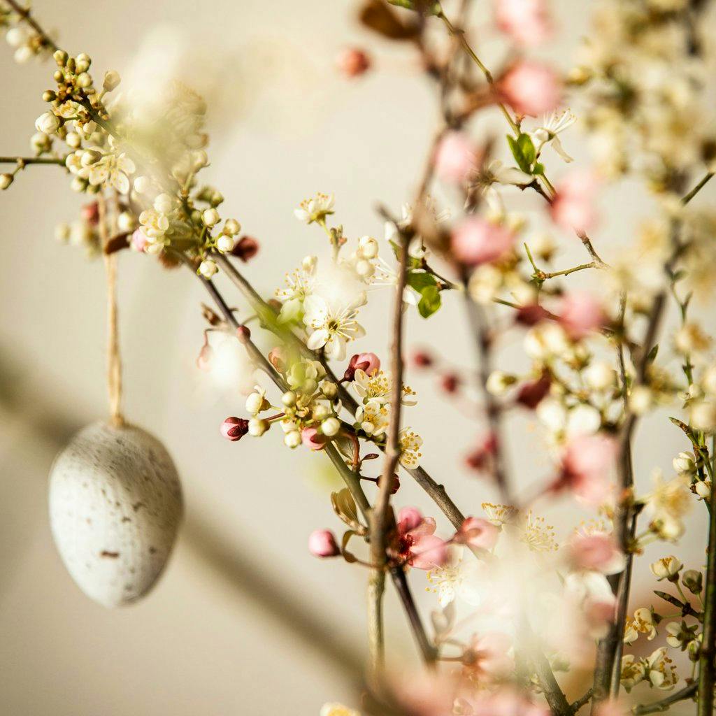 Conscious Connected Breathwork with Lyndsey & Anna at The Wild Box