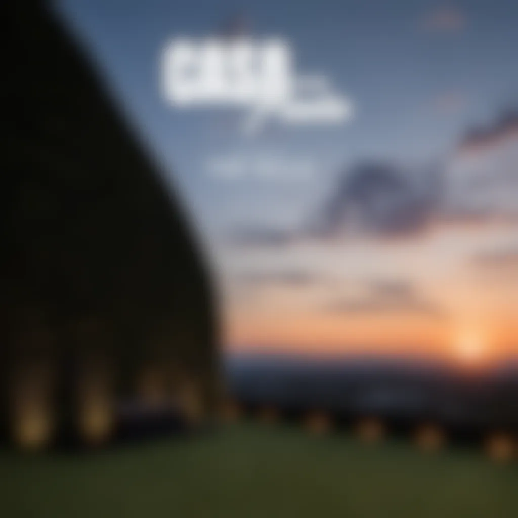 banner