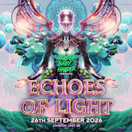 Echoes of Light at Virtual Event London