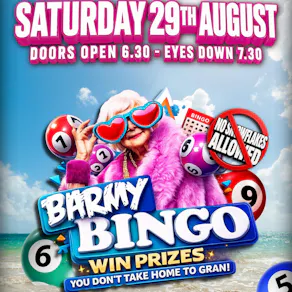 Barmy Bingo - Bridgend