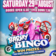 Barmy Bingo - Bridgend at Luna Live Lounge