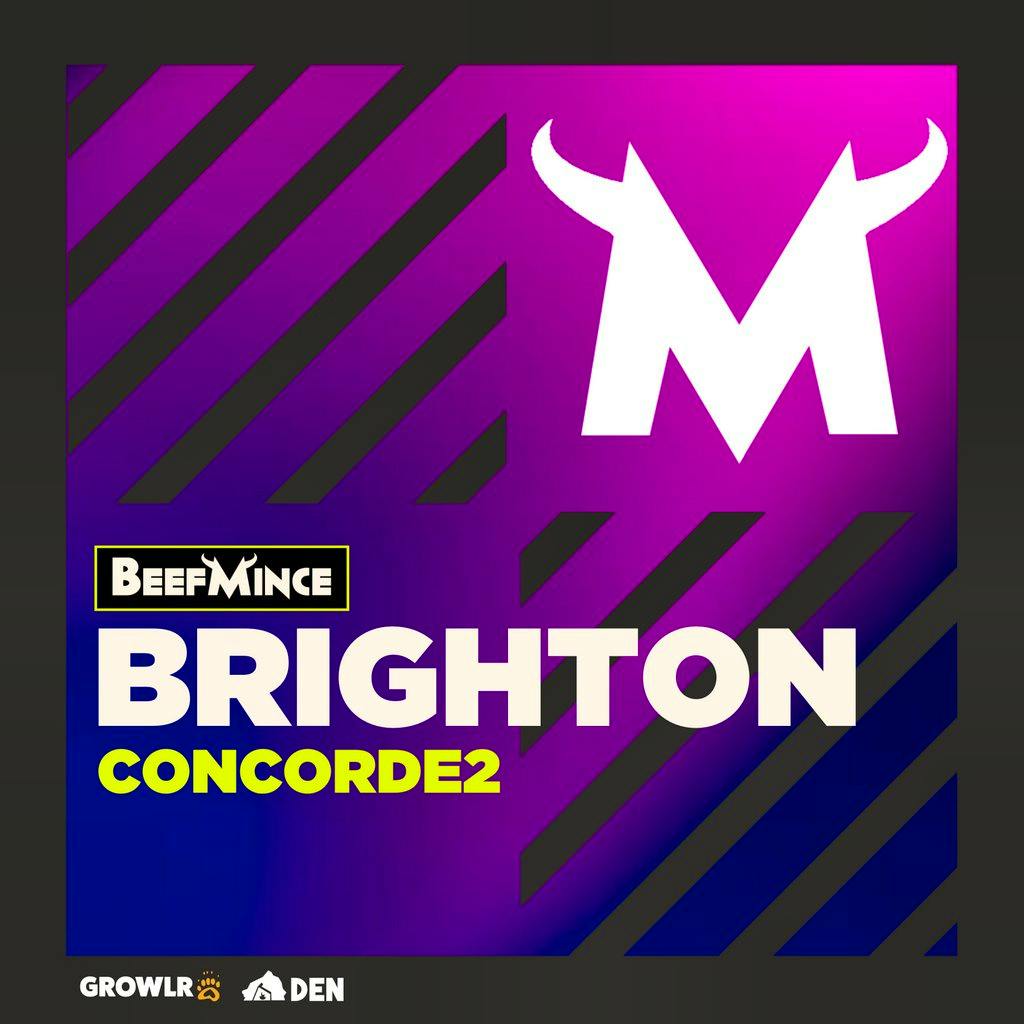 Beefmince at The Concorde 2