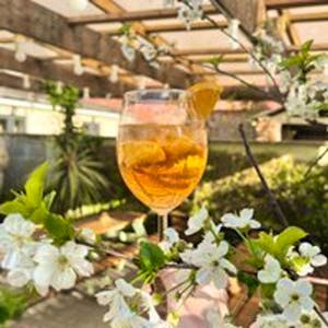 241 cocktails every Wednesday at Paradise Garden