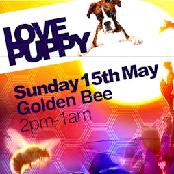 LOVE PUPPY Tickets | Golden Bee Shoreditch, London  | Sun 15th May 2022 Lineup