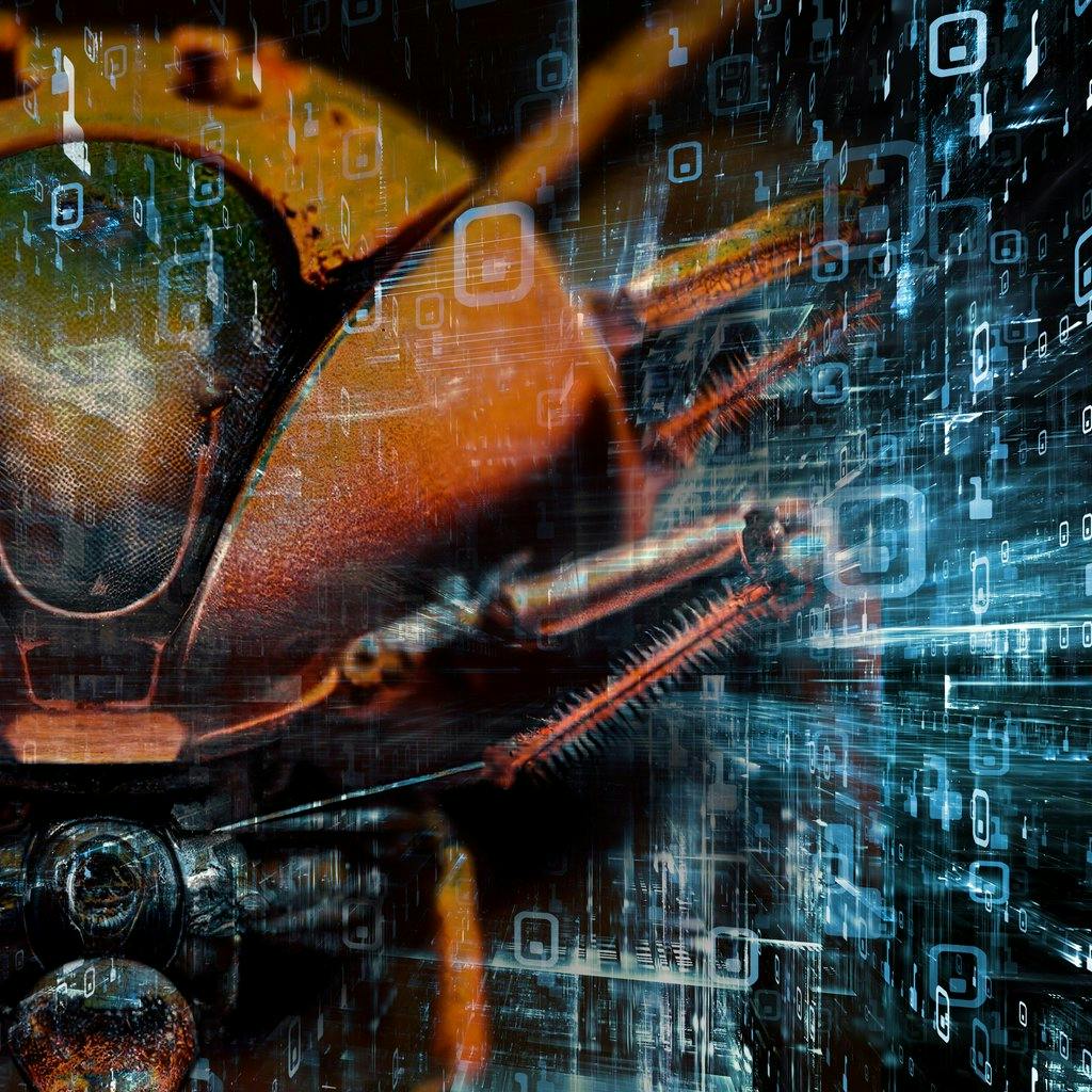 The Metamorphosis The Nutshell Winchester Sat 24th February 2024 Lineup