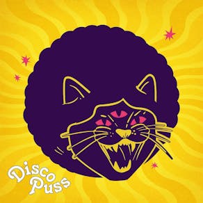 DISCO PUSS 4th Birthday!
