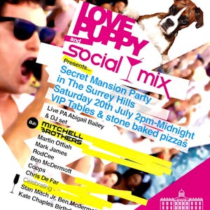 Love Puppy & Social Mix