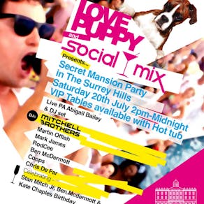 Love Puppy & Social Mix