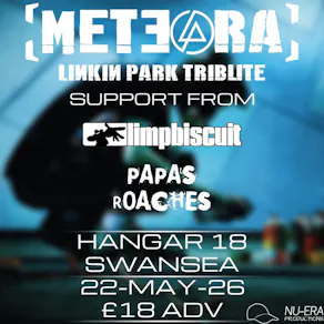 Meteora | Limp Biscuit | Papa's Roaches | Hangar 18 Swansea