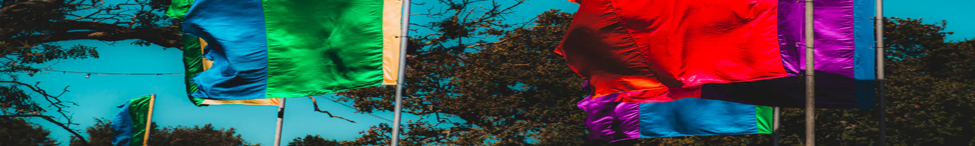 banner