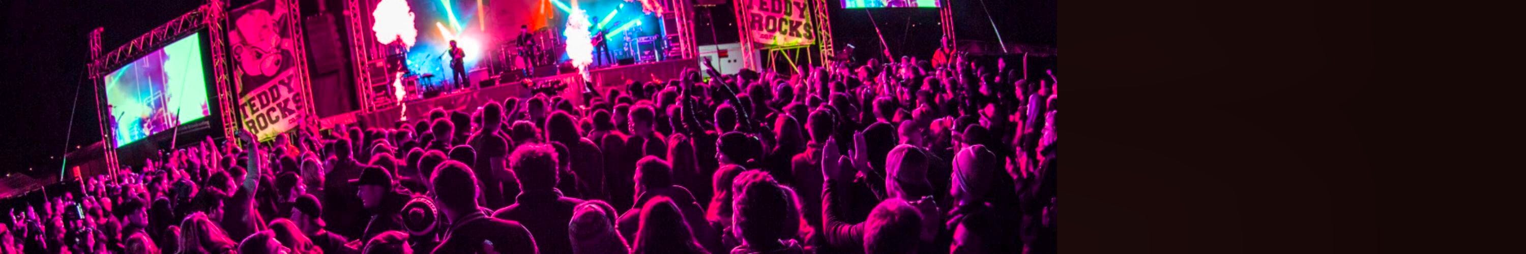 Teddy Rocks Festival 2024 Tickets & Line Up Skiddle