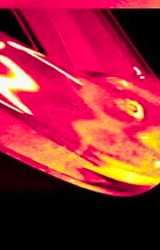 Teletech Festival 2024 | Tickets & Lineup | Skiddle