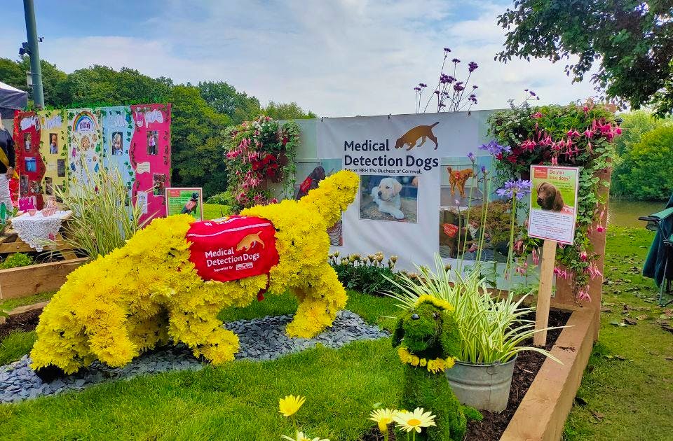 Chorley Flower Show festival 2023 Tickets & Line Up Skiddle