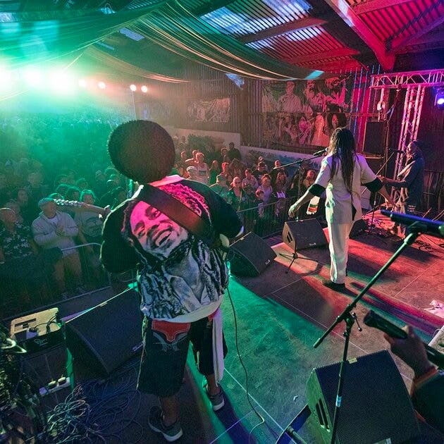 Wilkswood Reggae Festival 2025